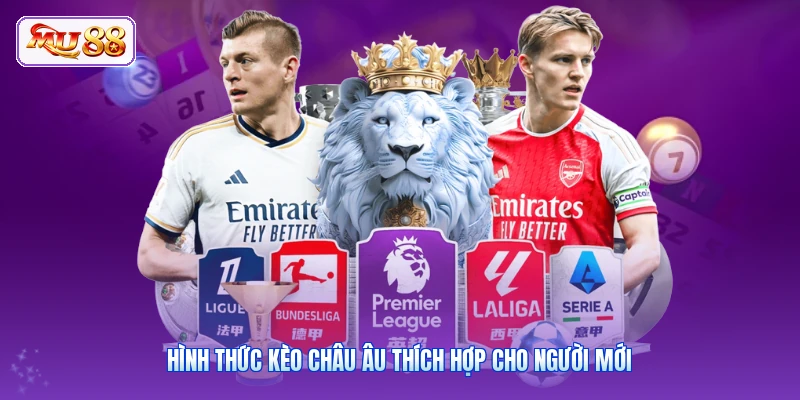 Hình thức kèo châu Âu thích hợp cho người mới